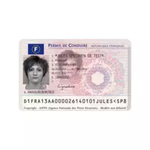 FRENCH DRIVER’S LICENSE