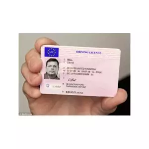 ICELANDIC DRIVER’S LICENSE ONLINE