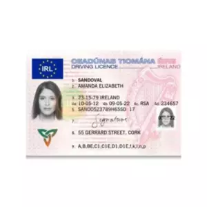 IRISH DRIVER’S LICENSE