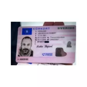 SWEDISH DRIVER’S LICENSE