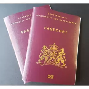 DUTCH PASSPORT ONLINE